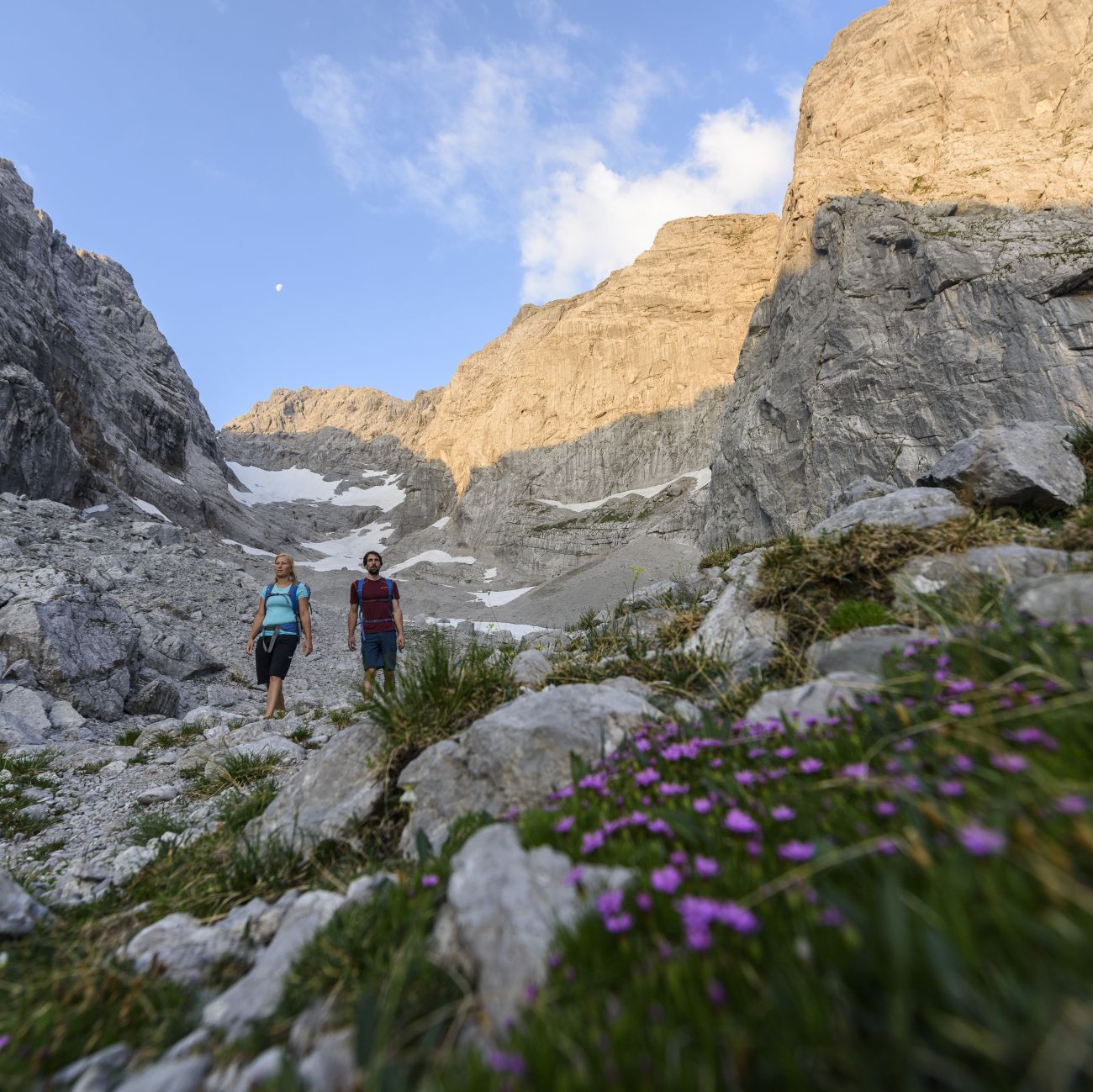 Einführung in die Geologie und Vegetation